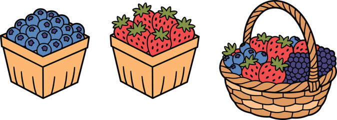 Illustration of fresh blueberry and strawberry cartons alongside a mixed berry wicker harvest gift basket. © Masud