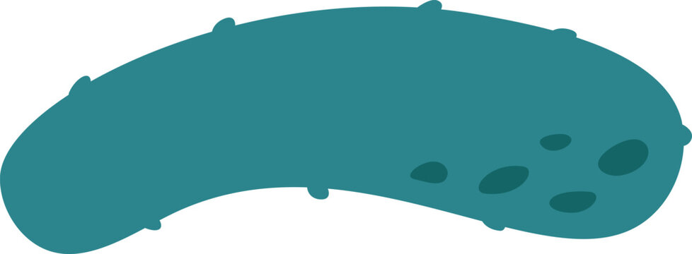 Green cucumber pickle cartoon vector illustration background