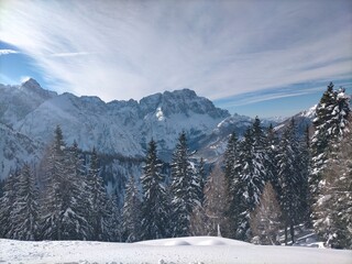 Fototapeta premium snow covered mountains