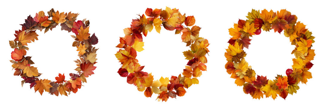 Set of Autumn leaves forming a perfect ring, bright reds and oranges on transparent png background. Ai generated