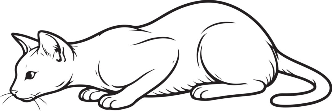 Havana Brown cat pouncing crouch line art black and white feline hunting pose vector illustration