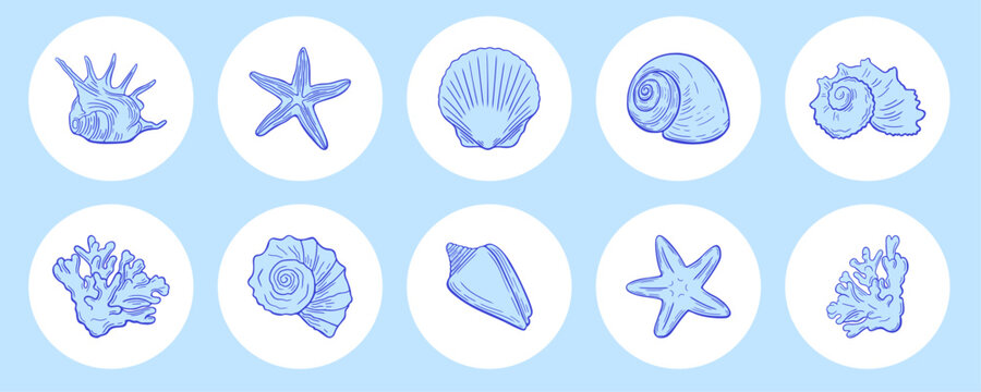 Marine seashell round sticker pack. Line art starfish, shells, coral badges. Hand drawn circular frame labels with sea, ocean themed design.
