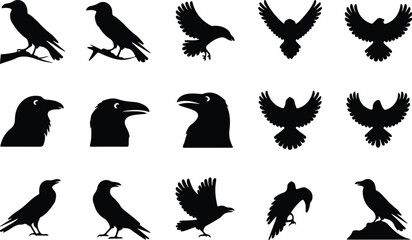 Fototapeta premium Raven Silhouette Icon Collection Set