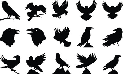 Fototapeta premium Raven Silhouette Icon Collection Set