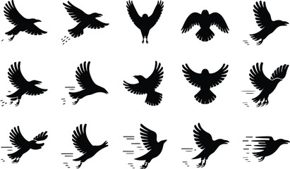 Fototapeta premium Raven Silhouette Icon Collection Set