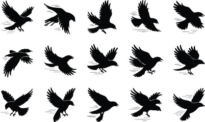 Fototapeta premium Raven Silhouette Icon Collection Set