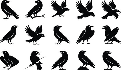 Fototapeta premium Raven Silhouette Icon Collection Set