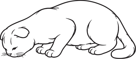 Obraz premium Scottish Fold Cat Eating Pose Line Art Black and White Cat Behavior Illustration