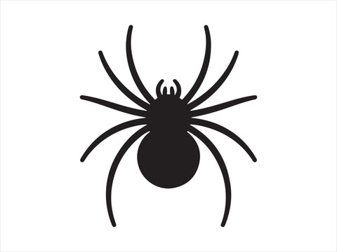 Vector of spider silhouette, Black widow spider silhouette, Spider Silhouette Arachnid Insect Wildlife Vector Illustration
