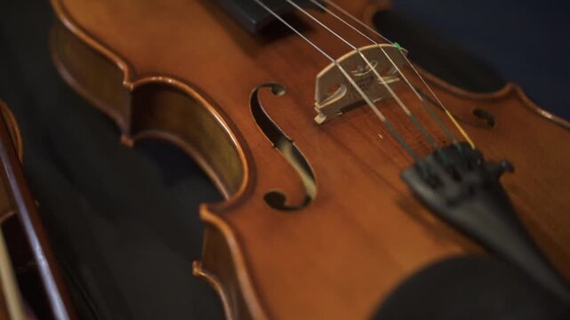 Detail and Close up of Violin
