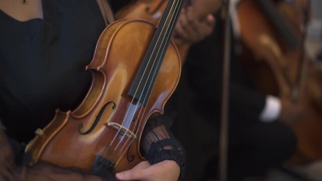 Musician holding violin in the classic concert