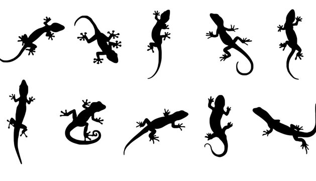 Lizard silhouette vector icons set for design and illustration purposes