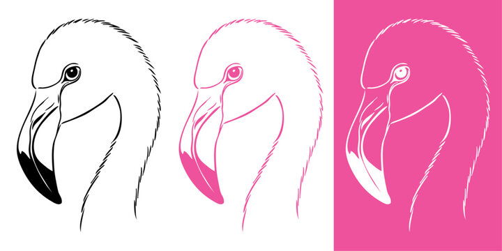 Logotipo con dibujo con l&iacute;neas de la cabeza un flamenco de perfil