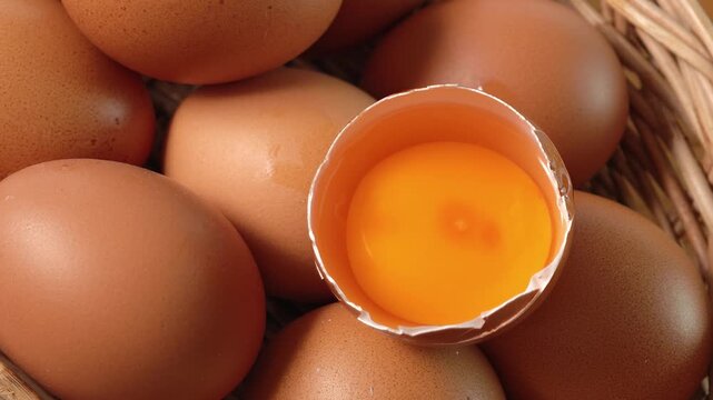 The yolk of a chicken egg	