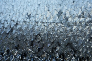 macro texture of trout fish scales with natural gradient from light silver to dark tones. Detailed close-up of fresh red fish skin with shiny, wet surface and organic pattern. Perfect for backgrounds, © Анна Климчук