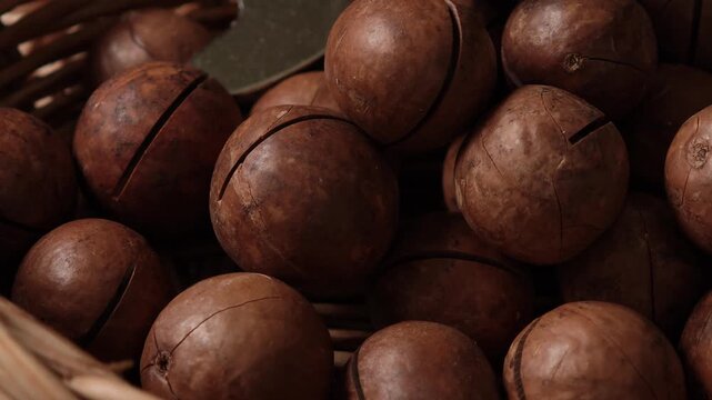 	
Video of macadamia nuts on table