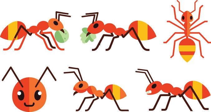 Flat Ant Character Pose Set Featuring Carrying Food Walking Crawling and Different Views with Cute Insect Illustrations for Nature and Biology Design