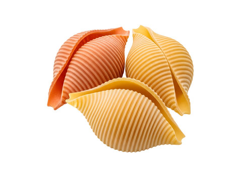 Conchiglie pasta shells in red and yellow on white background transparent background