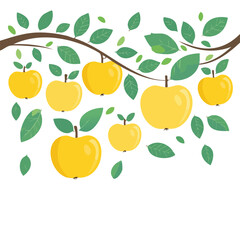 Obraz premium Yellow apples hanging from a branch with green leaves on a white background