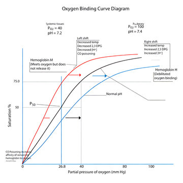 Oxygen Hemoglobin Dissociation Curve with Left and Right Shift