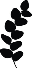 Fototapeta premium Minimalist Black Eucalyptus Leaf Silhouette Isolated on White Background for Modern Botanical Design