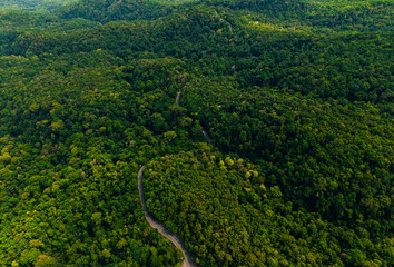 Fototapeta premium Aerial panorama of winding road through expansive forest landscape, travel trip to Thailand concept