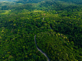 Fototapeta premium Winding road snaking through dense forest canopy aerial, travel trip to Thailand concept
