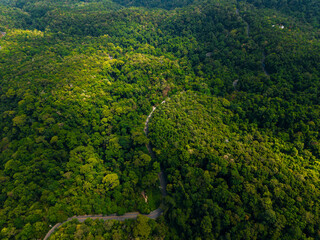 Fototapeta premium Narrow road weaving through dense forested mountain terrain
