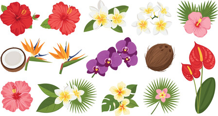 Tropical flowers and plants set with hibiscus orchid palm leaves exotic botanical vector illustration collection © MSTNAJMA