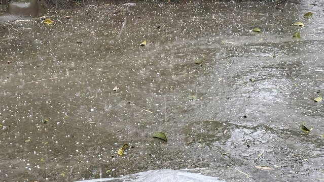 Scattered hailstones covering a puddly outdoor ground after a significant rain shower