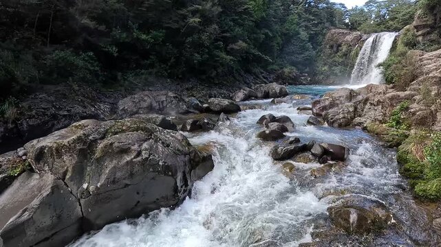 Powerful white water rapids flowing downstream from Tawhai Falls, surrounded by rugged volcanic rocks and dense forest