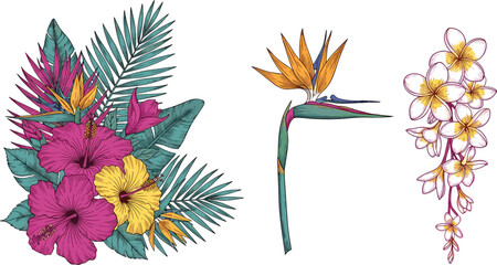 Vintage Hand Sketched Tropical Botanical Arrangement Set Featuring Hibiscus Palm Leaves Bird of Paradise and Plumeria Vine for Luxury Island Summer Graphic Designs © Fahim