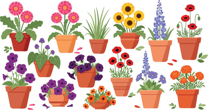 Potted Garden Flower Vector Set Featuring Terracotta Pots with Tulips Hyacinths Pansies and Sunflowers for Spring Plant Nursery Branding and Home Gardening Decor Designs