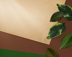 Nature Banner with Green Leaves and Paper Copy space Concept