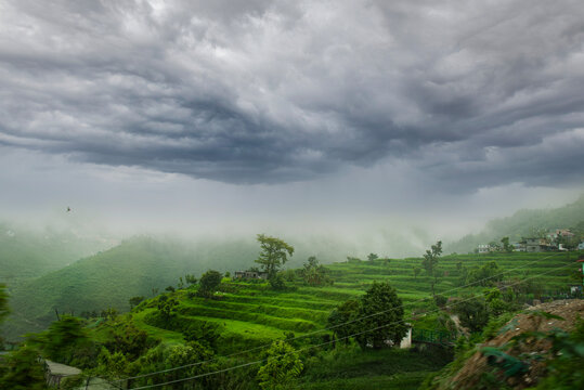rice terraces 