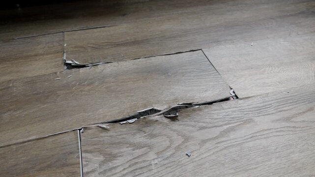 buckled laminate floor with torn planks and visible crack caused by heated floor expansion. closeup of damaged floor covering with lifted edges