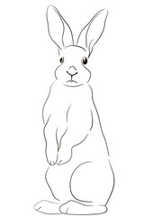 Obraz premium Sketch of a standing rabbit in simple outline on white background for various design uses