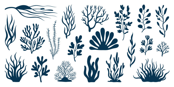 Aquatic seaweed silhouettes vector collection with underwater flora and marine plant shapes, leaves and algae for aquarium decoration, ocean botanical elements isolated on white
