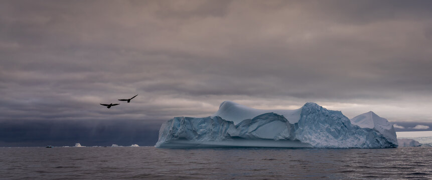 Sunrise, Charcot Bay Zodiac cruise Antartica with lots of icebergs