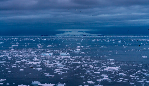 Sunrise, Charcot Bay Zodiac cruise Antartica with lots of icebergs
