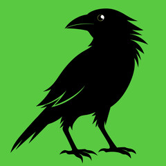 Fototapeta premium A stylized black raven illustration stands against a vibrant green background