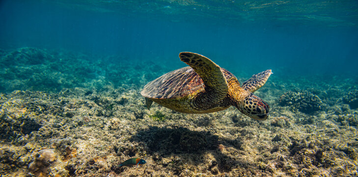 Kauai, Hawaii, Anini Beach