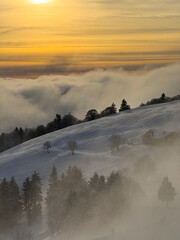Jura mountains winter scene with golden sunset, jura; france