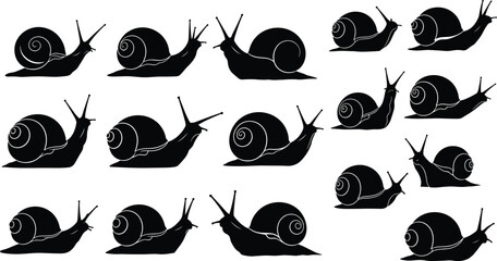 Snail silhouettes collection vector illustration, multiple crawling snail icons with shell details, nature animal set isolated on white background, simple black design concept © MstSanoara