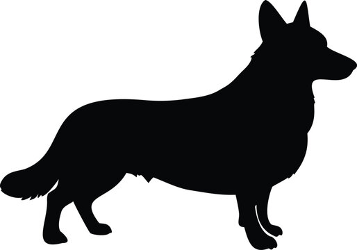 Pembroke Welsh Corgi silhouette vector illustration black and white