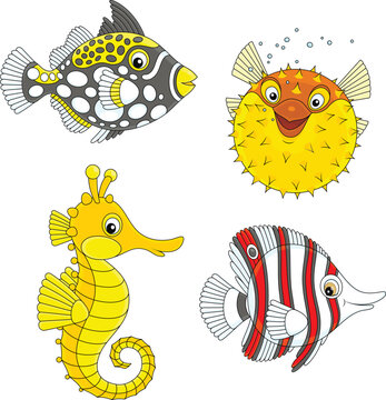 Vector collection of an exotic tropical puffer fish, a seahorse, a butterflyfish and a triggerfish