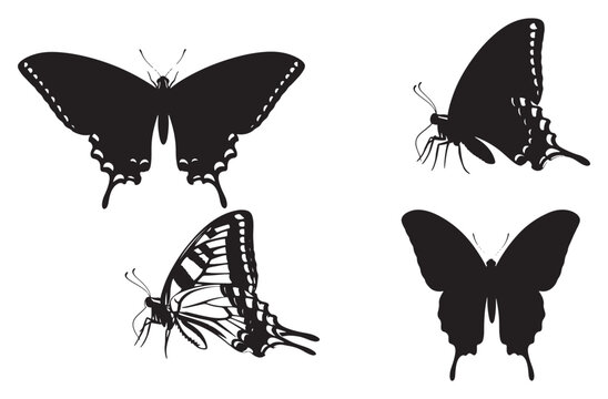  Assortment of four elegant black silhouette swallowtail butterflies showcasing intricate wing designs and body structures in dynamic poses