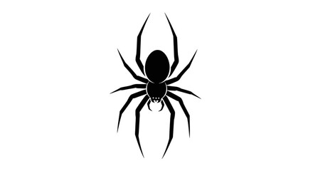 Simple black widow spider icon displayed centrally on a plain white.