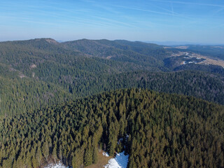 Dense coniferous forest on mountain aerial view. Drone shot of dense pine forest in mountains. © Ajdin Kamber