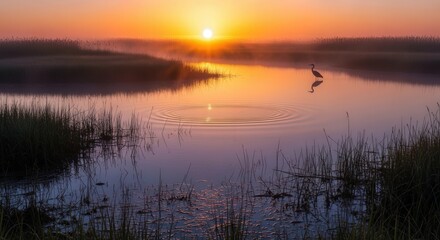 Fototapeta premium Serene Sunrise Over Misty Lake with Single Swan Gliding on Water
